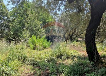 Giardino - Terreno agricolo Tre Cipolle
 
snc, Minturno - foto 11