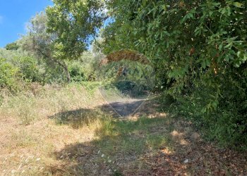 Giardino - Terreno agricolo Tre Cipolle
 
snc, Minturno - foto 14