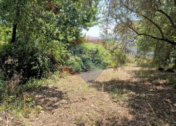 Giardino - Terreno agricolo Tre Cipolle
 
snc, Minturno - foto 16