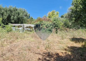 Giardino - Terreno agricolo Tre Cipolle
 
snc, Minturno - foto 17