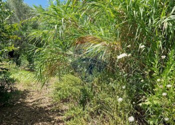 Giardino - Terreno agricolo Tre Cipolle
 
snc, Minturno - foto 19