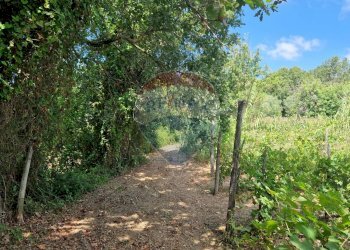 Giardino - Terreno agricolo Tre Cipolle
 
snc, Minturno - foto 23
