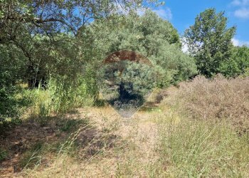 Giardino - Terreno agricolo Tre Cipolle
 
snc, Minturno - foto 27