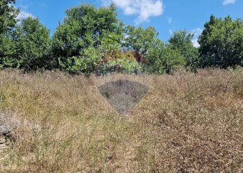 Giardino - Terreno agricolo Tre Cipolle
 
snc, Minturno - foto 28