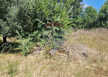 Giardino - Terreno agricolo Tre Cipolle
 
snc, Minturno - foto 29