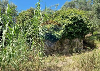 Giardino - Terreno agricolo Tre Cipolle
 
snc, Minturno - foto 32