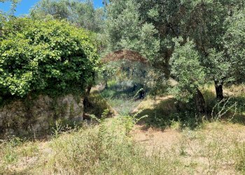 Giardino - Terreno agricolo Tre Cipolle
 
snc, Minturno - foto 33