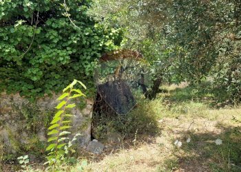Giardino - Terreno agricolo Tre Cipolle
 
snc, Minturno - foto 35