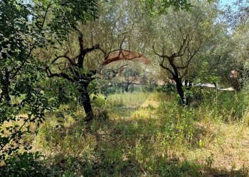 Giardino - Terreno agricolo Tre Cipolle
 
snc, Minturno - foto 39