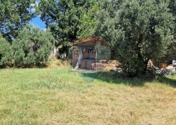 Giardino - Terreno agricolo Tre Cipolle
 
snc, Minturno - foto 40