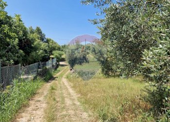 Giardino - Terreno agricolo Tre Cipolle
 
snc, Minturno - foto 41