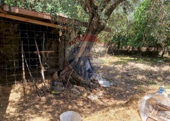 Giardino - Terreno agricolo Tre Cipolle
 
snc, Minturno - foto 42