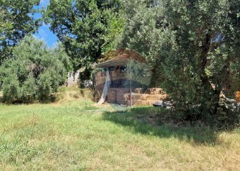 Giardino - Terreno agricolo Tre Cipolle
 
snc, Minturno - foto 43