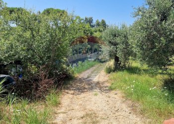 Giardino - Terreno agricolo Tre Cipolle
 
snc, Minturno - foto 44