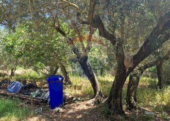 Giardino - Terreno agricolo Tre Cipolle
 
snc, Minturno - foto 45