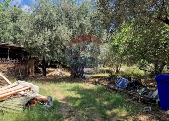 Giardino - Terreno agricolo Tre Cipolle
 
snc, Minturno - foto 46