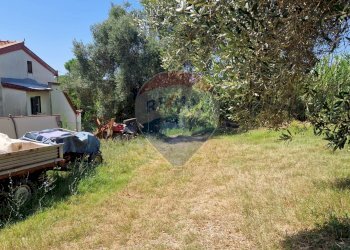 Giardino - Terreno agricolo Tre Cipolle
 
snc, Minturno - foto 47