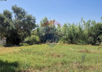 Giardino - Terreno agricolo Tre Cipolle
 
snc, Minturno - foto 48