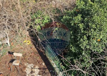 Giardino - Casa semi indipendente Minturno - foto 16