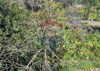 Posizione della mappa - Casa semi indipendente Minturno - foto 17