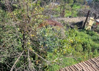 Giardino - Casa semi indipendente Minturno - foto 21