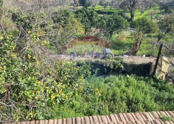 Giardino - Casa semi indipendente Minturno - foto 22