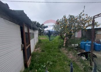 Giardino - Casa indipendente Minturno - foto 14