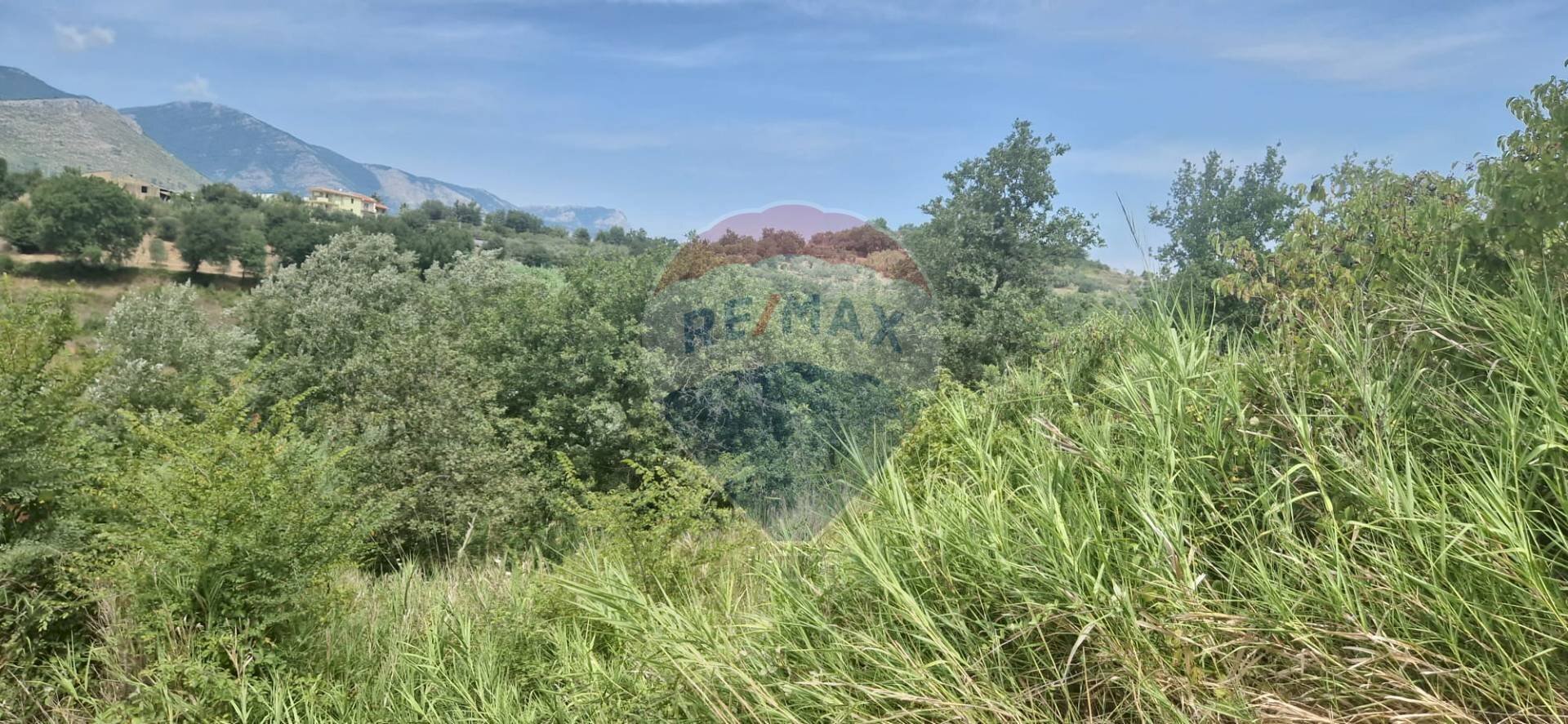 Vista delle montagne - Terreno agricolo Minturno - foto 1