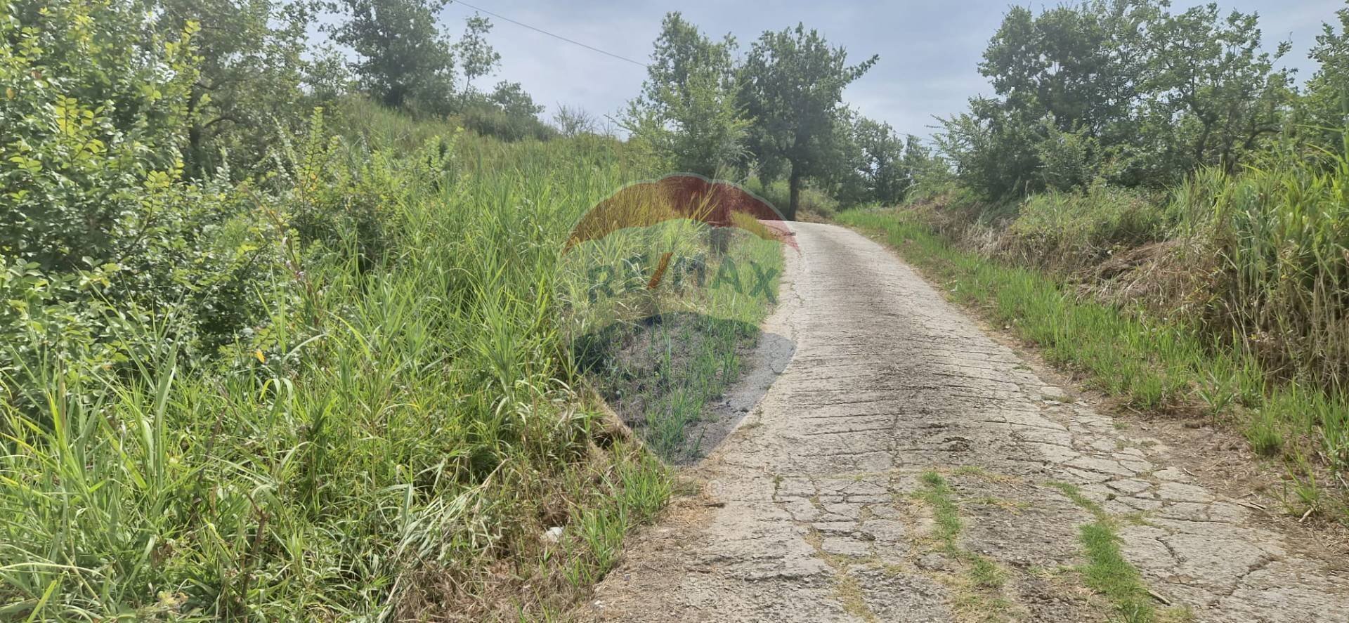 Giardino - Terreno agricolo Minturno - foto 3