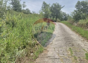 Giardino - Terreno agricolo Minturno - foto 3