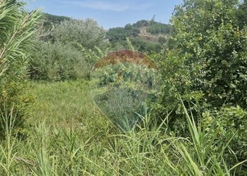 Giardino - Terreno agricolo Minturno - foto 5