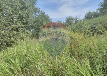 Giardino - Terreno agricolo Minturno - foto 10