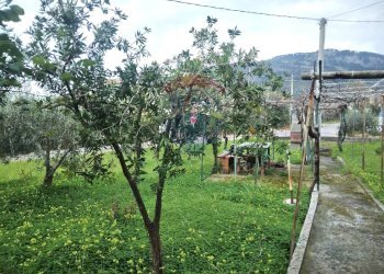 Giardino - Appartamento Castelforte - foto 31