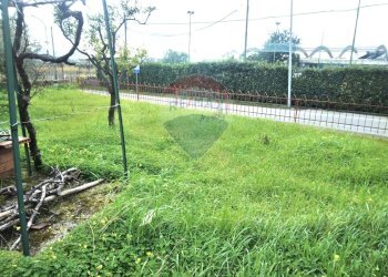 Giardino - Appartamento Castelforte - foto 36