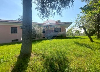 Giardino - Villa Sessa Aurunca - foto 46