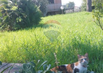 Giardino - Villa Sessa Aurunca - foto 64