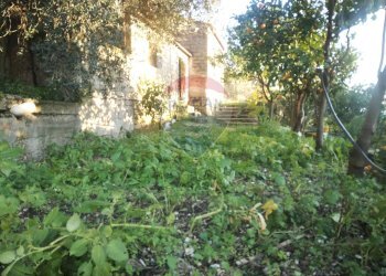 Giardino - Casa indipendente Castelforte - foto 29