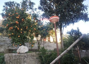 Giardino - Casa indipendente Castelforte - foto 32