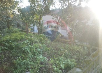 Giardino - Casa indipendente Castelforte - foto 33