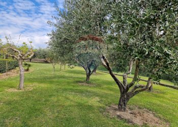 Giardino - Casa indipendente via Filieri
 
338, Sant'Elia Fiumerapido - foto 6