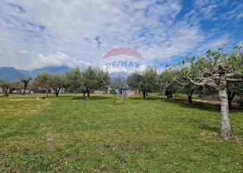 Giardino - Casa indipendente via Filieri
 
338, Sant'Elia Fiumerapido - foto 7