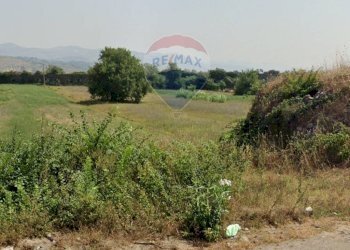 Giardino - Terreno agricolo Minturno - foto 4