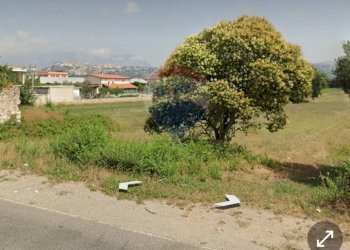 Giardino - Terreno agricolo Minturno - foto 5