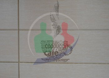 Foto 47 - Appartamento Via Allason
 
24, Grugliasco - foto 47