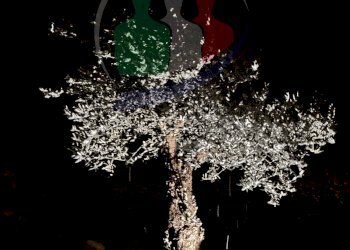 Foto 15 - Villa Strada Maddalena
 
58, Moncalieri - foto 15