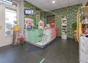 Foto 3 - Negozio Piazza Europa
12, Pont-Canavese - foto 3