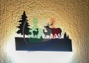 Foto 24 - Hotel Aosta - foto 24