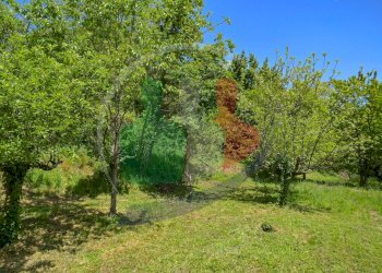 Foto 9 - Rustico Via delle Scuole, Castellamonte - foto 9