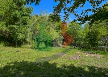 Foto 10 - Rustico Via delle Scuole, Castellamonte - foto 10