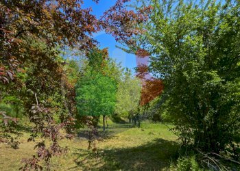 Foto 12 - Rustico Via delle Scuole, Castellamonte - foto 12